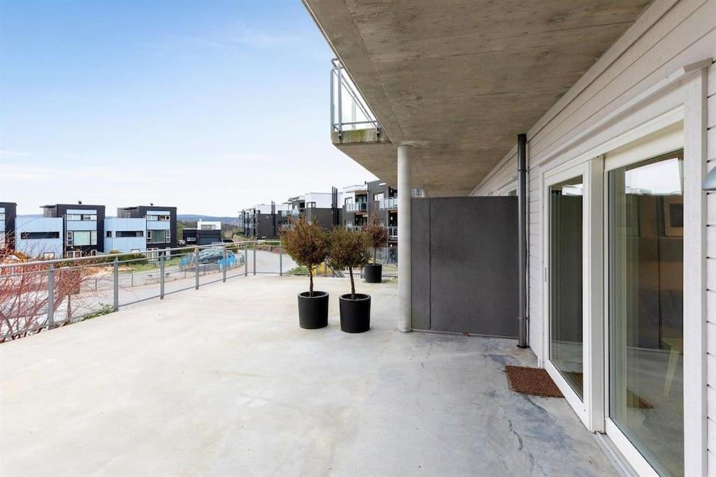 2 Bedroom In Great Location Apartment *